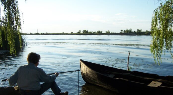 ANNEA LOCKWOOD: A SOUND MAP OF THE DANUBE / MAK Wien