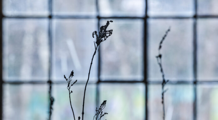 Ursula Palla – Pale Light / Kunstraum Dornbirn, Vorarlberg