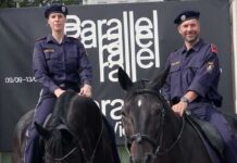 JONAS HÖSCHL | Polizeipferde für Österreich / Bildraum 01, Wien